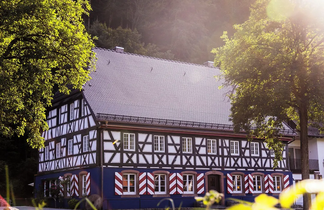 Schwarzwaldgasthof Hotel Schlossmühle-1